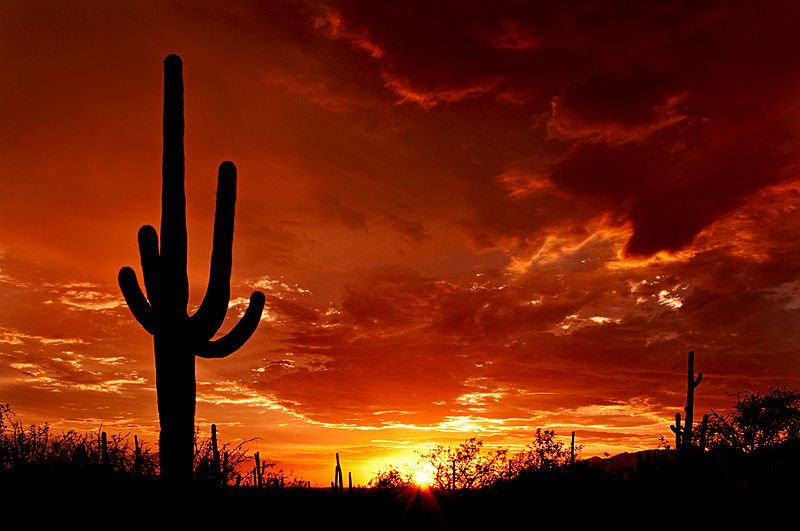 Arizona sunset