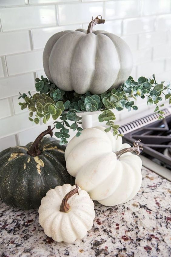 black white and grey pumpkins in kitchen