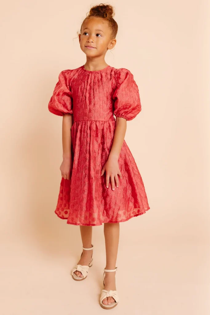 little girl's organza dot dress