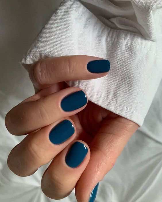 navy blue muted fall nails